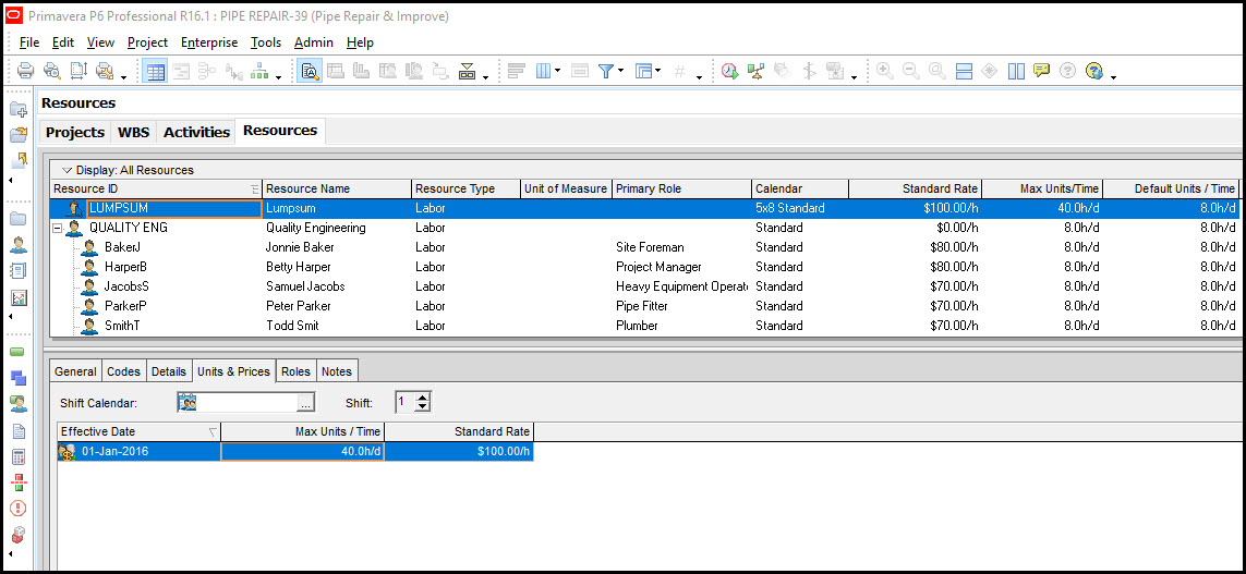 P6中的一次性费率