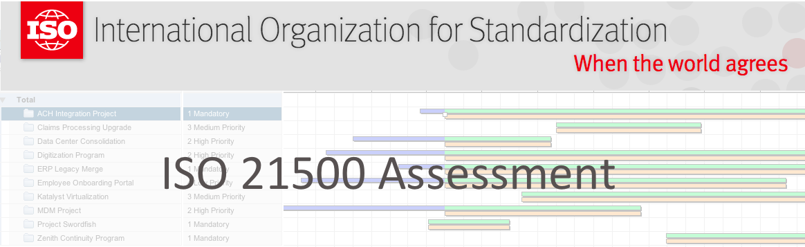ISO 21500的评估