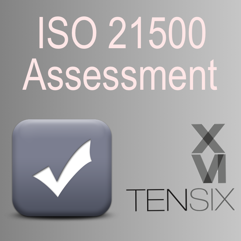 十六级ISO 21500评估