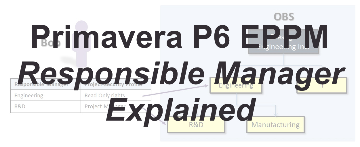 Primavera P6 EPPM责任经理
