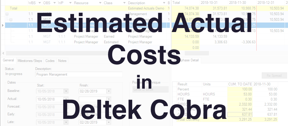 Deltek Cobra Banner的估算实际成本
