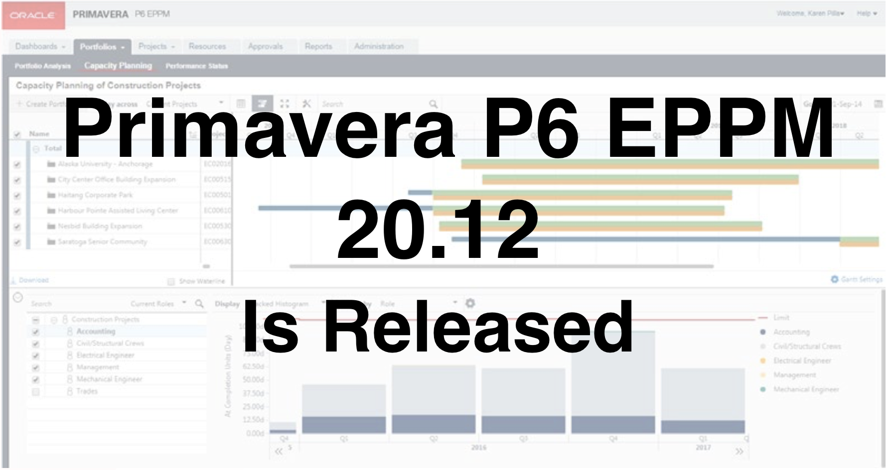 Primavera P6计划EPPM 20.12